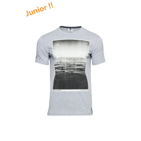 Tee Shirt Junior Rugby Division " SHARK"