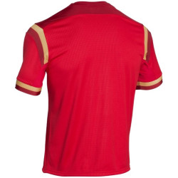 Maillot Pays de Galles réplica Domicile Under Armour