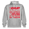 Sweat Capuche Rugby Terroir Gris