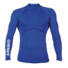 Baselayer Royal personnalisé